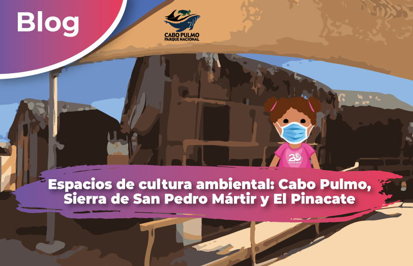 En  Sonora se localiza la RB El Pinacate y Gran Desierto de Altar;  en Baja California los PN Cabo Pulmo y San Pedro Mártir. Los tesoros naturales que existen en estos sitios puedes descubrirlos a través de de sus Centros de Cultura Ambiental.