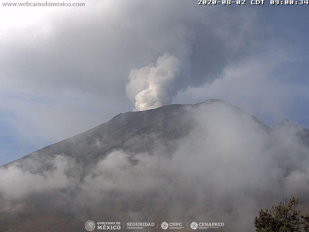En las últimas 24 horas, mediante el sistema de monitoreo del volcán Popocatépetl se identificaron 10 exhalaciones acompañadas de gases volcánicos y en ocasiones de ligeras cantidades de ceniza. Adicionalmente se registraron 1159 minutos de tremor.