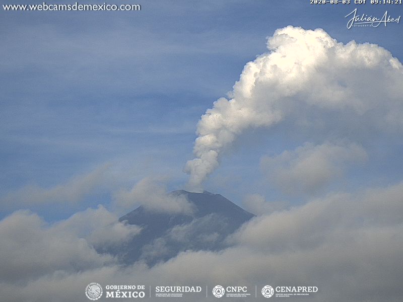 En las últimas 24 horas, mediante el sistema de monitoreo del volcán Popocatépetl se identificaron 16 exhalaciones acompañadas de gases volcánicos y en ocasiones de ligeras cantidades de ceniza. Adicionalmente se registraron 1292 minutos de tremor.