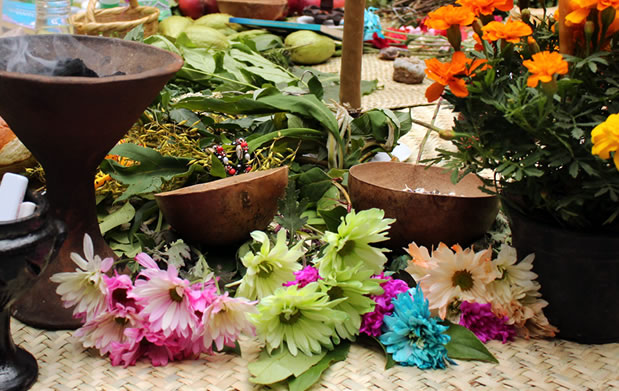 Remedios caseros: La curación tradicional significa plantas, rezos