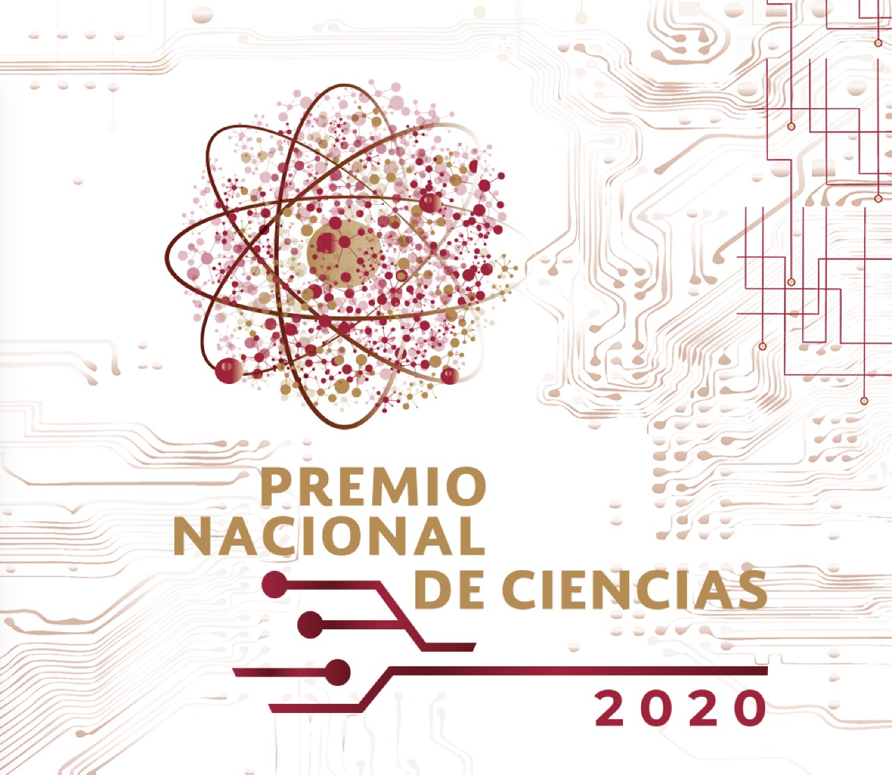 Se amplía el plazo para el registro de candidatos a obtener el Premio Nacional de Ciencias 2020: SEP