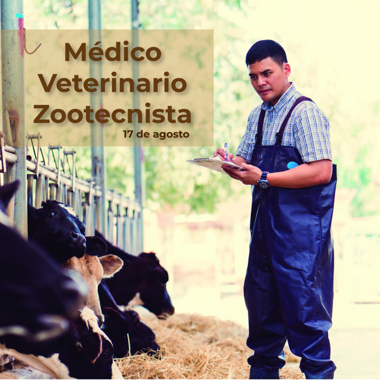 El 17 de agosto se celebra en México el día del Médico Veterinario Zootecnista.