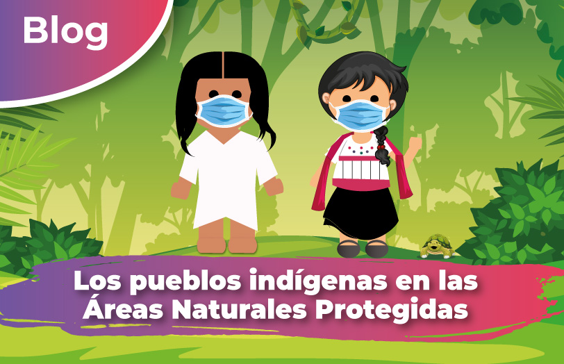 Los pueblos indígenas en las Áreas Naturales Protegidas | Comisión Nacional  de Áreas Naturales Protegidas | Gobierno 