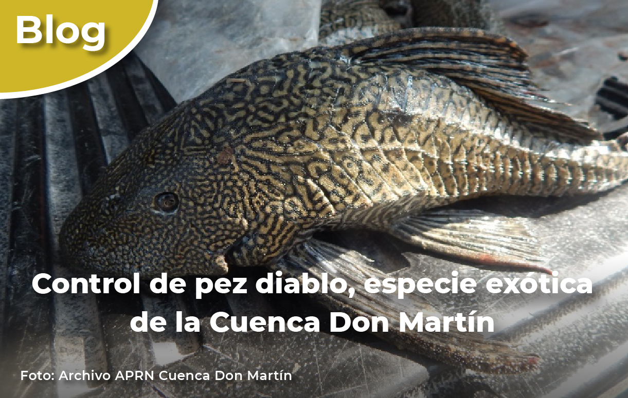 Control del pez diablo, especie exótica de la Cuenca Don Martín.