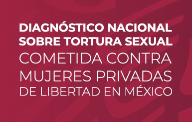 Diagnóstico Nacional sobre Tortura Sexual Cometida Contra Mujeres Privadas de la Libertad en México