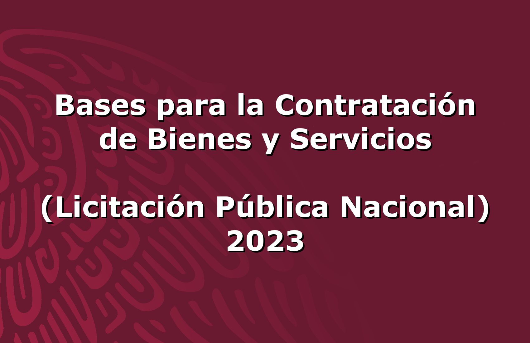 Bases para la Contratación de Bienes y Servicios, Licitación Pública Nacional 2023