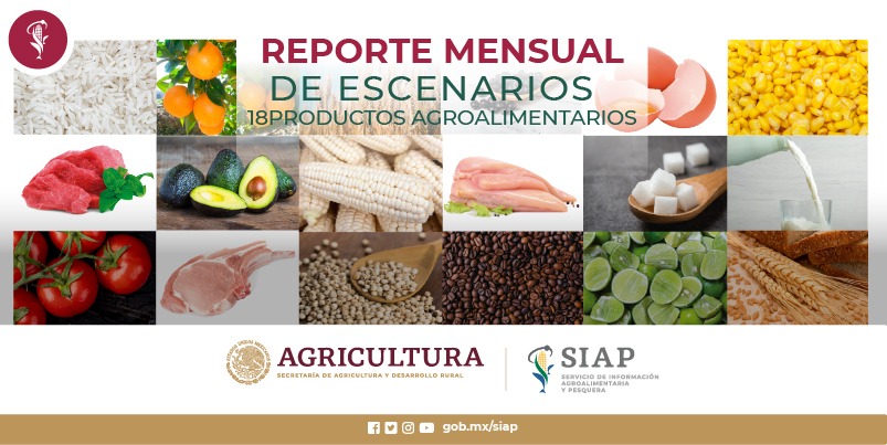 Reporte mensual de escenarios de 18 productos agroalimentarios del comportamiento de la producción y comercio exterior mexicano.