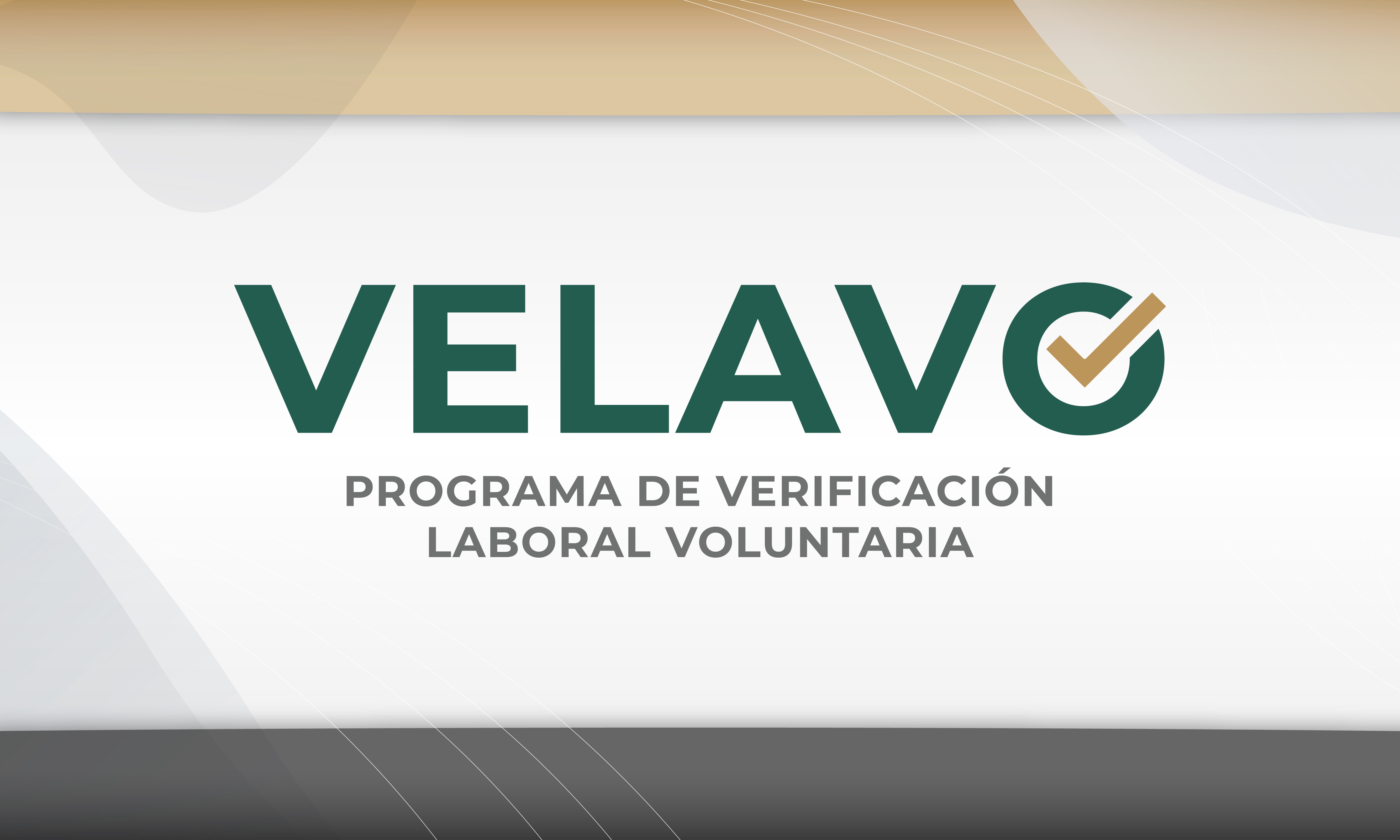 VELAVO, programa de Verificación Laboral Voluntaria 