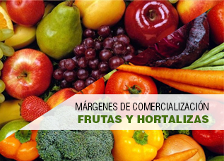 Márgenes de comercialización de frutas y hortalizas enero 2016