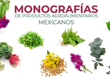 Monografías de productos agroalimentarios mexicanos
