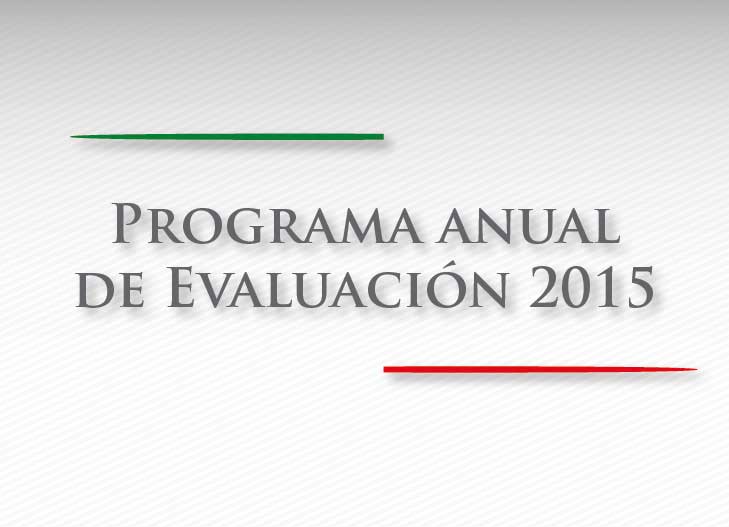 Programa Anual de Evaluación 2015