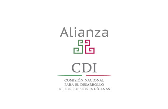 Logo CDI alianza INEA