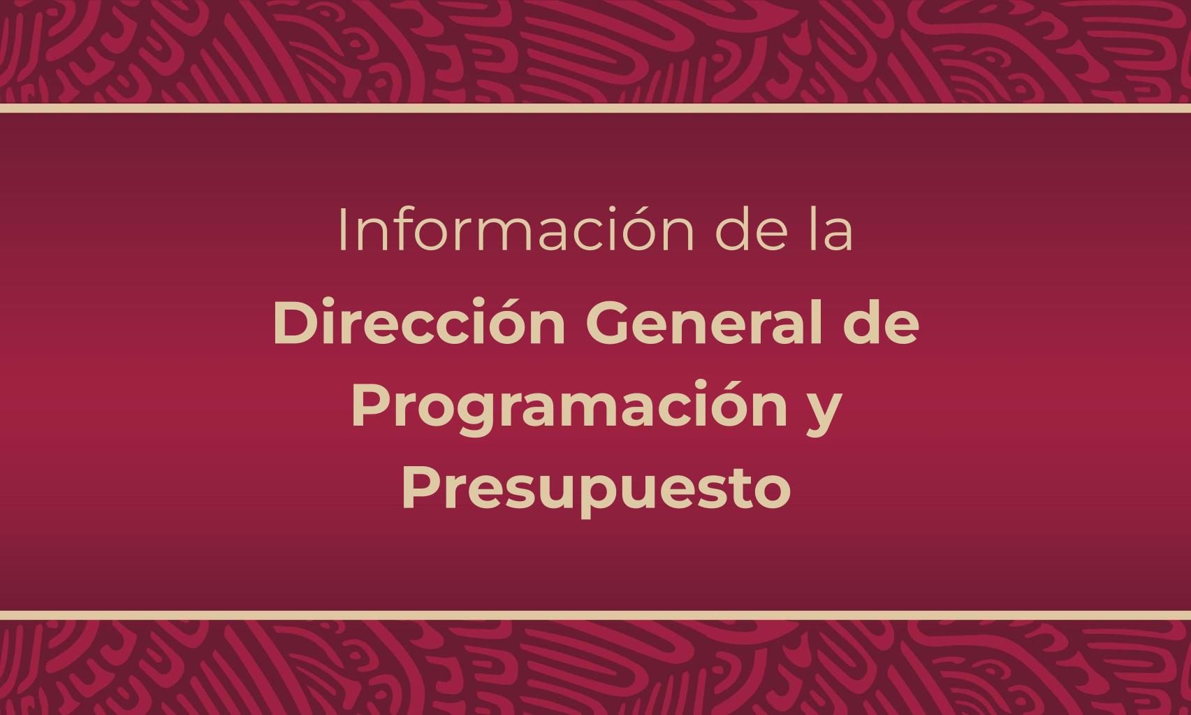 Información de la Dirección General de Programación y Presupuesto 