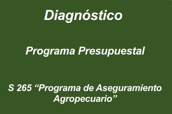Diagnóstico Programa Presupuestal