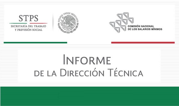 Comisión Nacional de los Salarios Mínimos
Dirección Técnica  2012