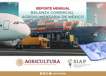 Reporte mensual de la Balanza Comercial Agroalimentaria  de México