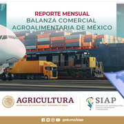 https://www.gob.mx/cms/uploads/document/main_image/42392/thumb_Balanza_Comercial_Agroalimentaria_Mexico.jpg
