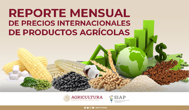 Reporte mensual de Precios Internacionales de productos agrícolas