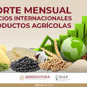 https://www.gob.mx/cms/uploads/document/main_image/42394/thumb_Banner_Precios_productos_agri_colas.jpg