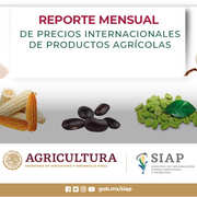 https://www.gob.mx/cms/uploads/document/main_image/42394/thumb_Precios_Internacionales_de_Productos_Agricolas.jpg