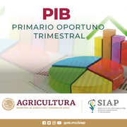 https://www.gob.mx/cms/uploads/document/main_image/42914/thumb_PIB_Primario_Oportuno.jpg