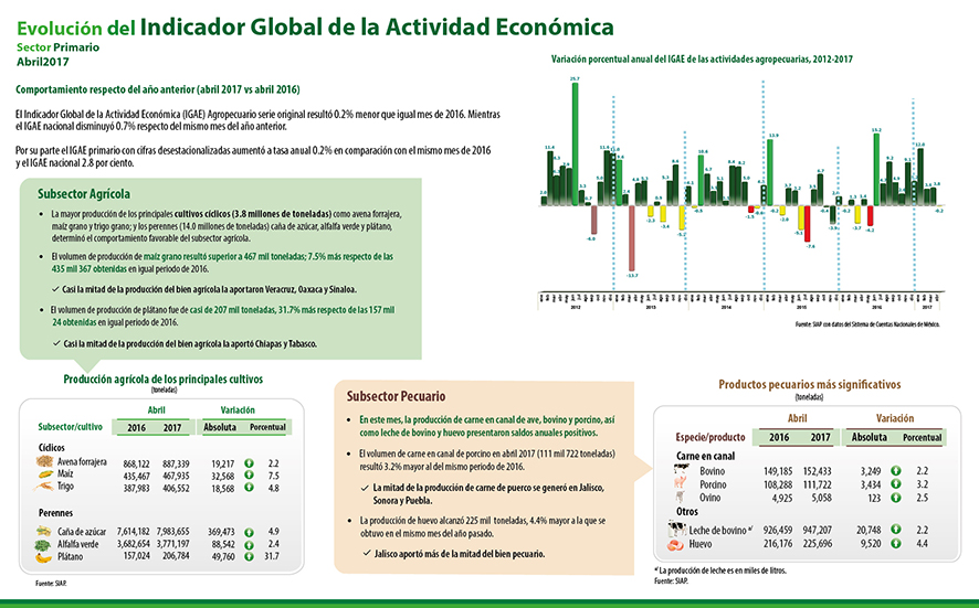 (IGAE) Indicador Global de la Actividad Económica