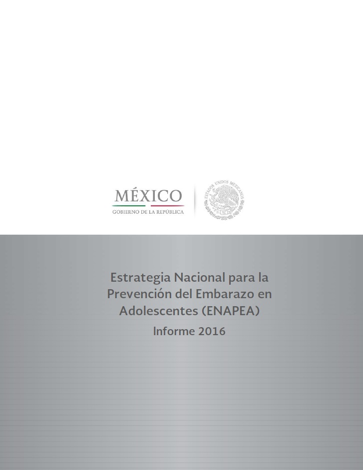 Informe 2016 de la ENAPEA