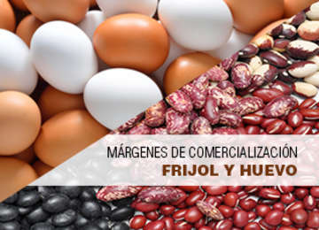 Márgenes de comercialización de frijol y huevo junio 2017