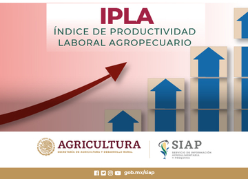 Índice de Productividad Laboral Agropecuario (IPLA)