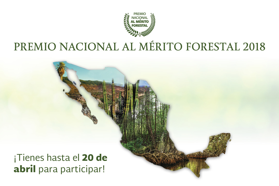 Premio Nacional al Mérito Forestal