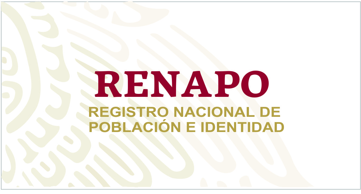 El Estado mexicano ha celebrado y aprobado, en la esfera internacional, diversos tratados, acuerdos y documentos vinculatorios que protegen el Derecho a la Identidad