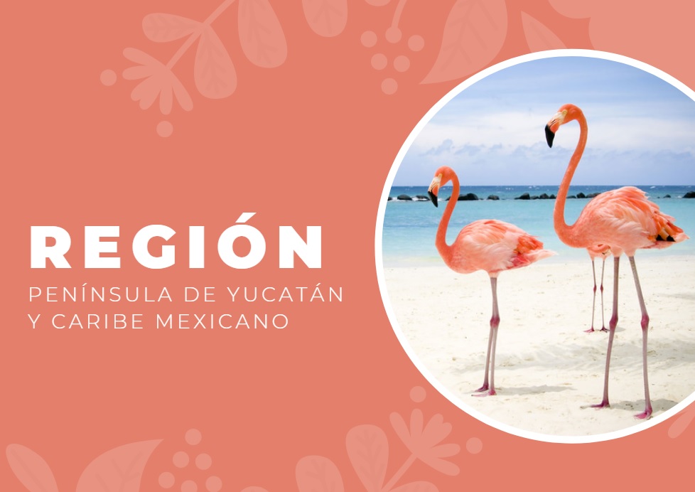Región Península de Yucatán y Caribe Mexicano