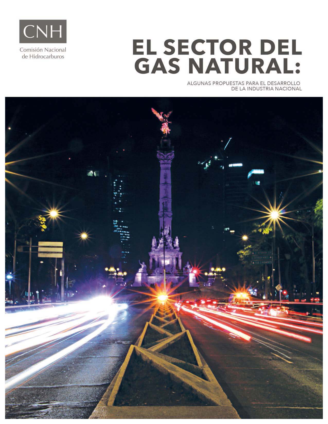 El sector del Gas Natural: Algunas propuestas para el desarrollo de la Industria Nacional