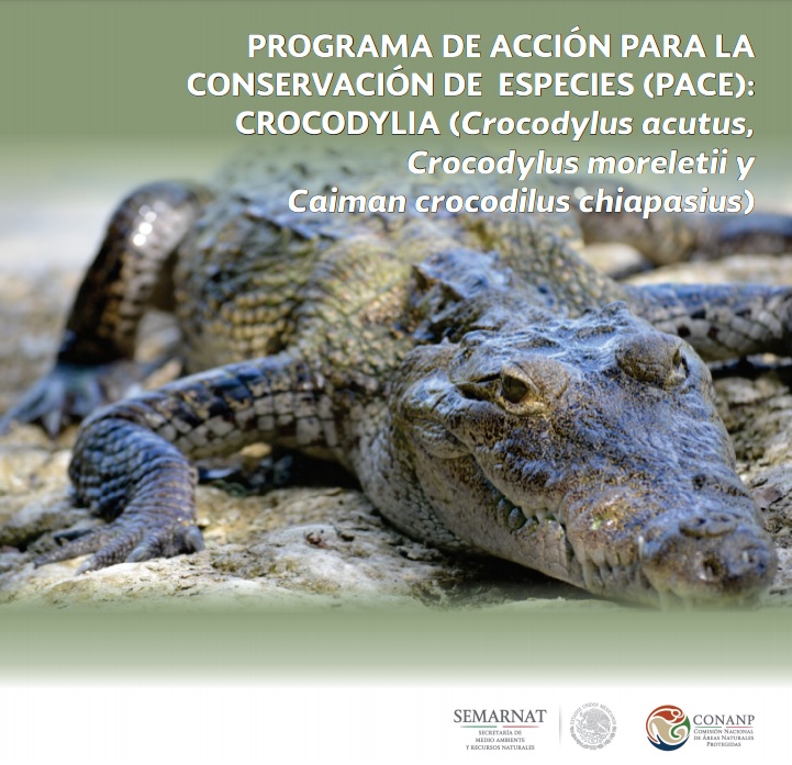Programa de Acción para la Conservación de Especies (PACE): Crocodylia 