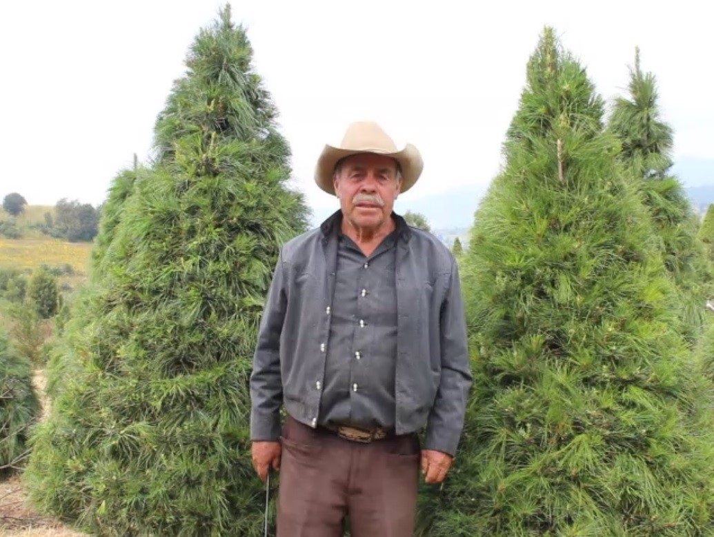 Productore de Xonacatlán, Estado de México, posa junto a dos árboles de su plantación.