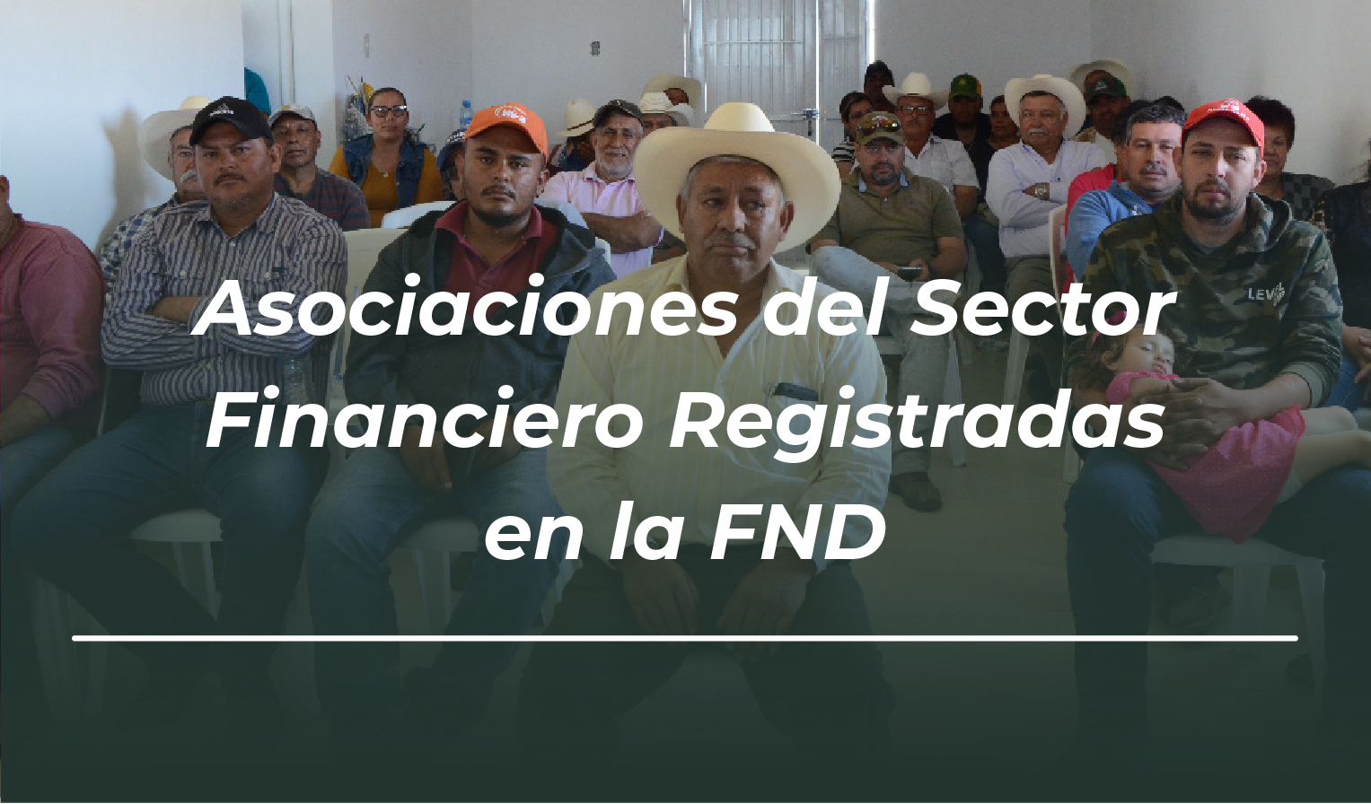 Asociaciones del Sector Financiero registradas en la FND