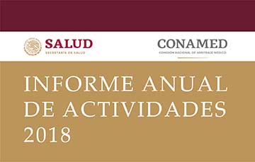 Texto Informe Anual de Actividades 2018
