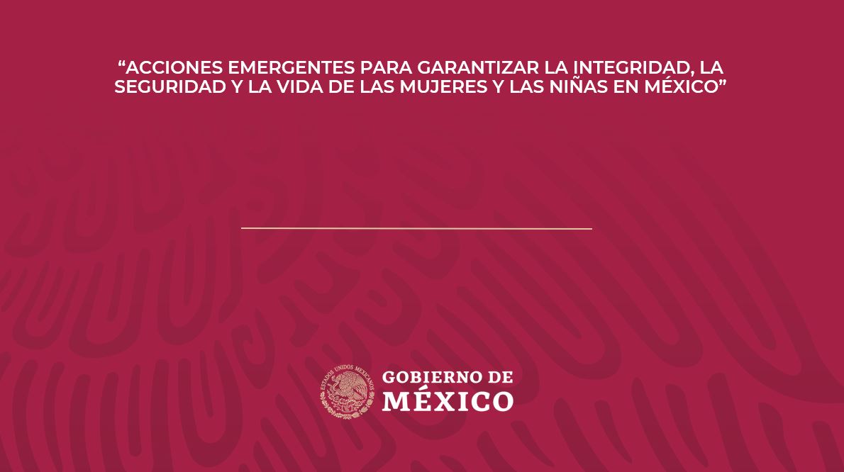 Acciones Emergentes para Garantizar la Integridad, la Seguridad y la Vida de las Mujeres y Niñas en México
