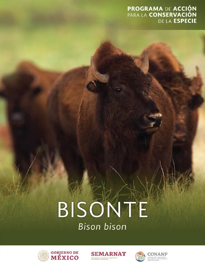 Portada del PACE Bisonte (Bison bison)