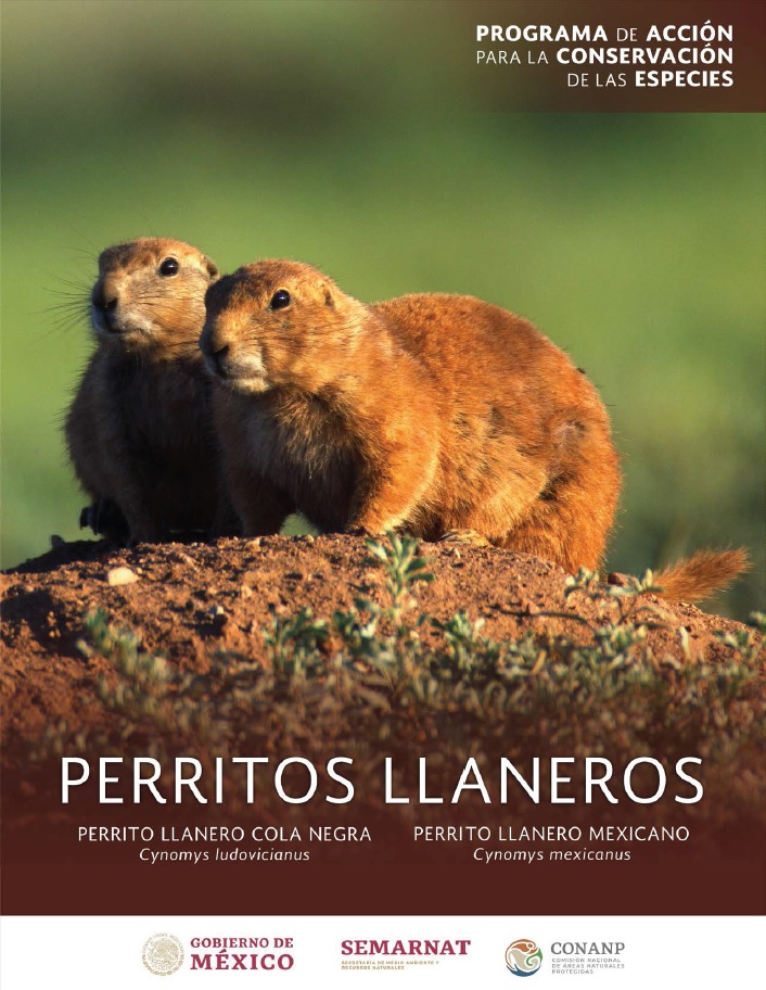 Portada del PACE Perritos Llaneros (Cynomys ludovicianus) y (Cynomys mexicanus)