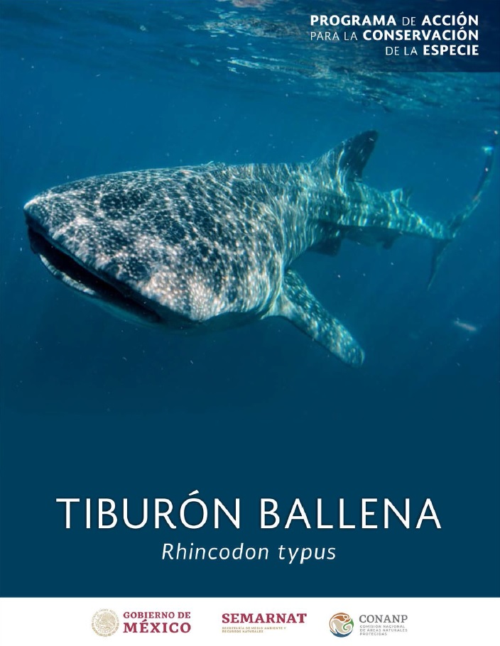 Portada del PACE Tiburón Ballena (Rhincodon typus)