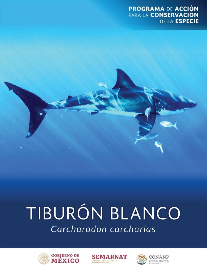 Portada del PACE Tiburón Blanco (Carcharodon carcharias)