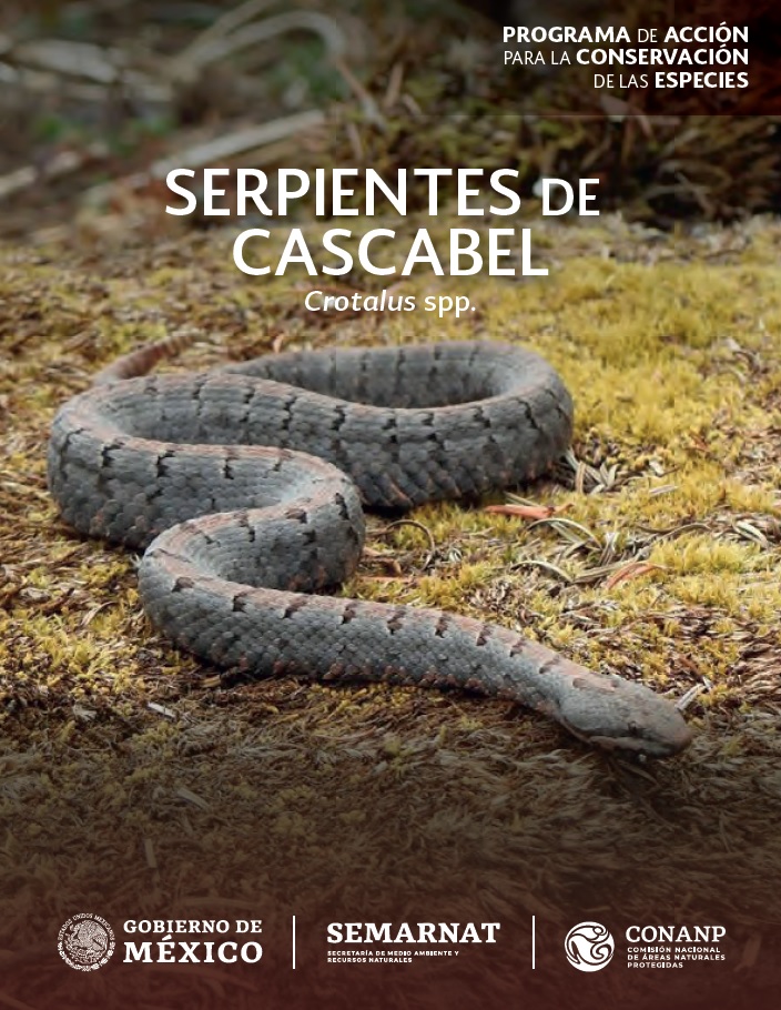 Portada del PACE Serpientes de Cascabel (Crotalus spp.)