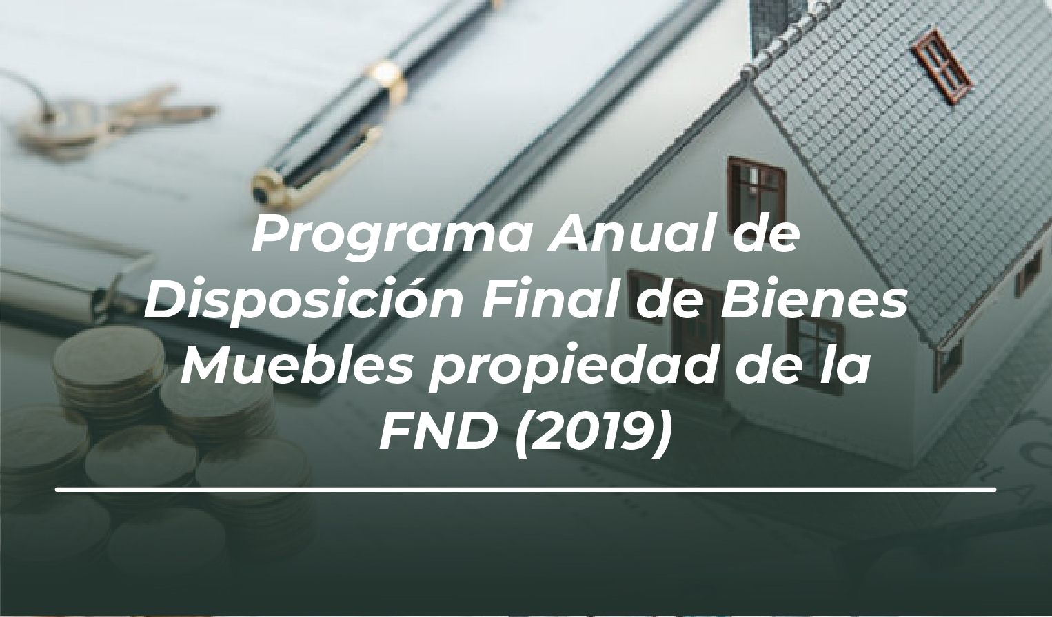 Programa Anual de Disposición Final de los Bienes Muebles propiedad de la FND para el ejercicio fiscal 2019