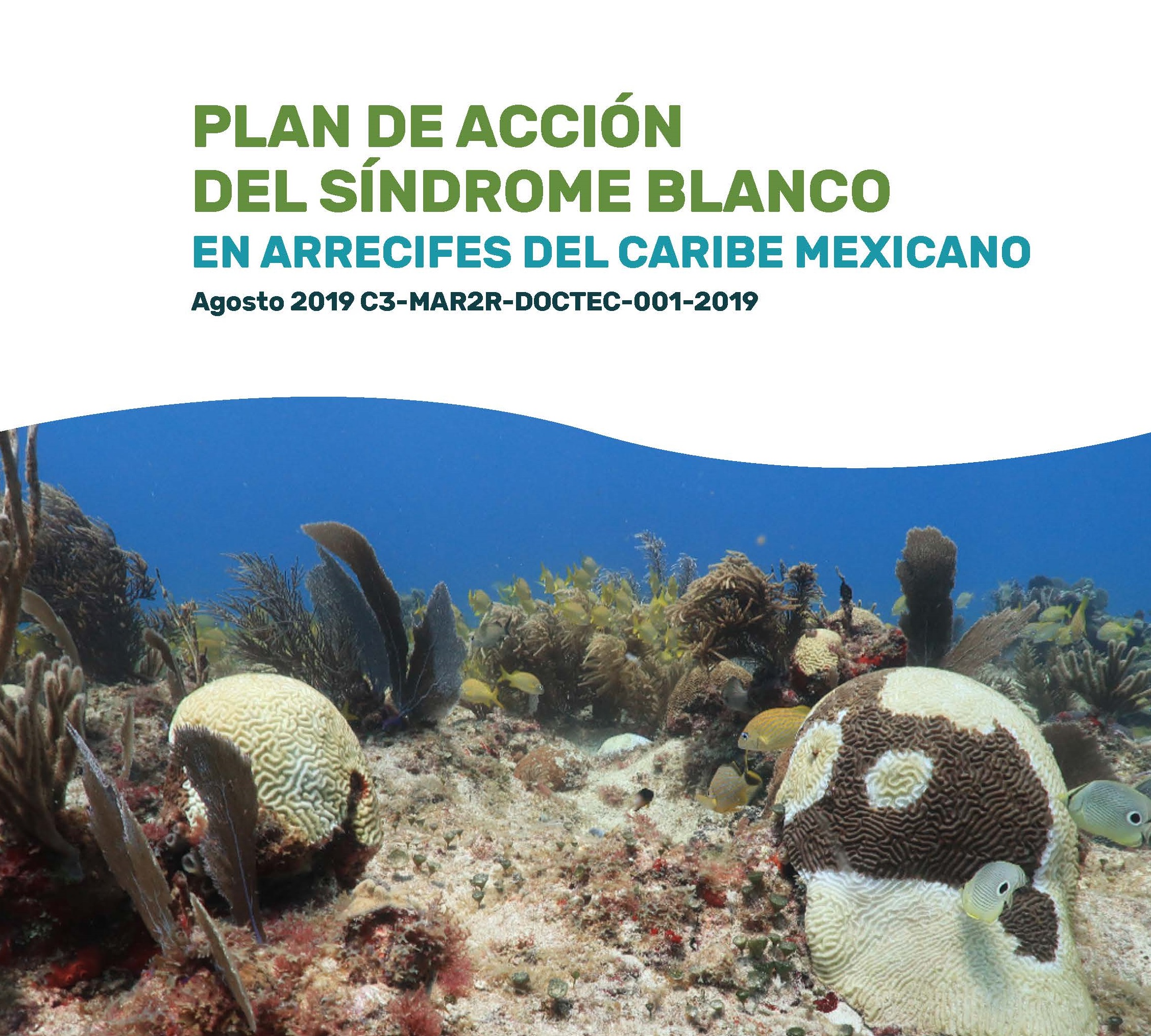 Portada del plan de acción del síndrome blanco en los arrecifes del Caribe Mexicano.
