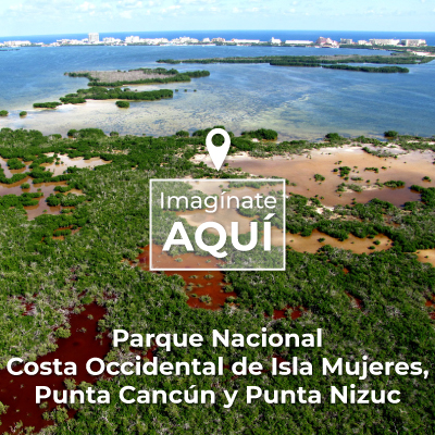 Parque Nacional Costa Occidental de Isla Mujeres, Punta Cancún y Punta Nizuc.