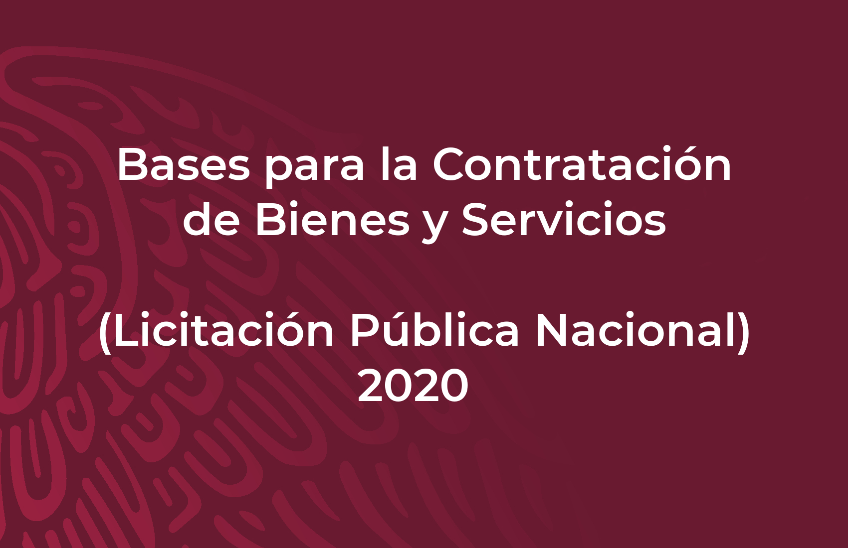 Bases para la Contratación de Bienes y Servicios (Licitación Pública Nacional) 2020