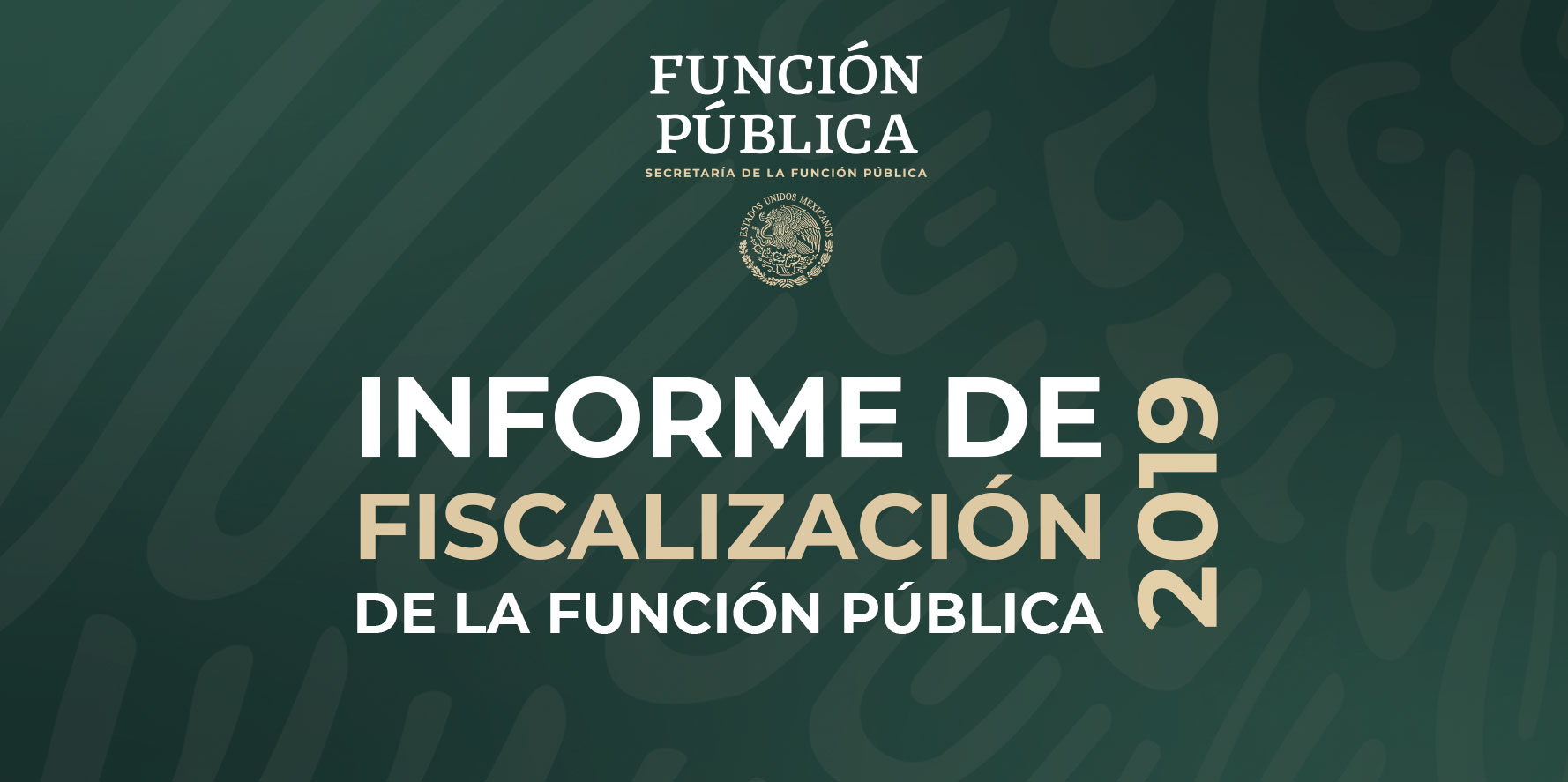 Informe de Fiscalización de la Función Pública 2019.