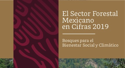 El Sector Forestal Mexicano en Cifras 2019