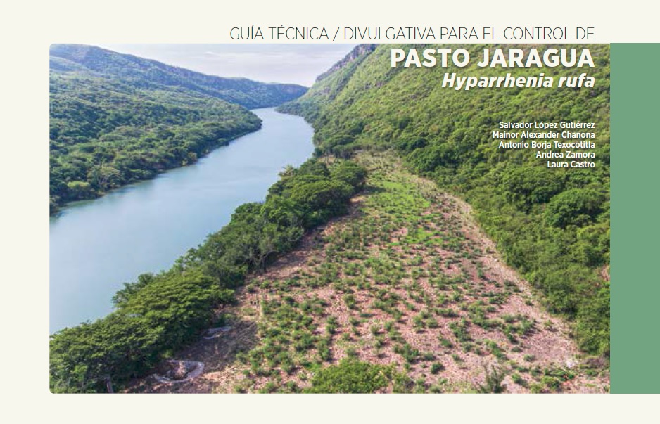 Portada de la Guía técnica/divulgativa para el control de pasto jaragua (Hyparrhenia rufa).